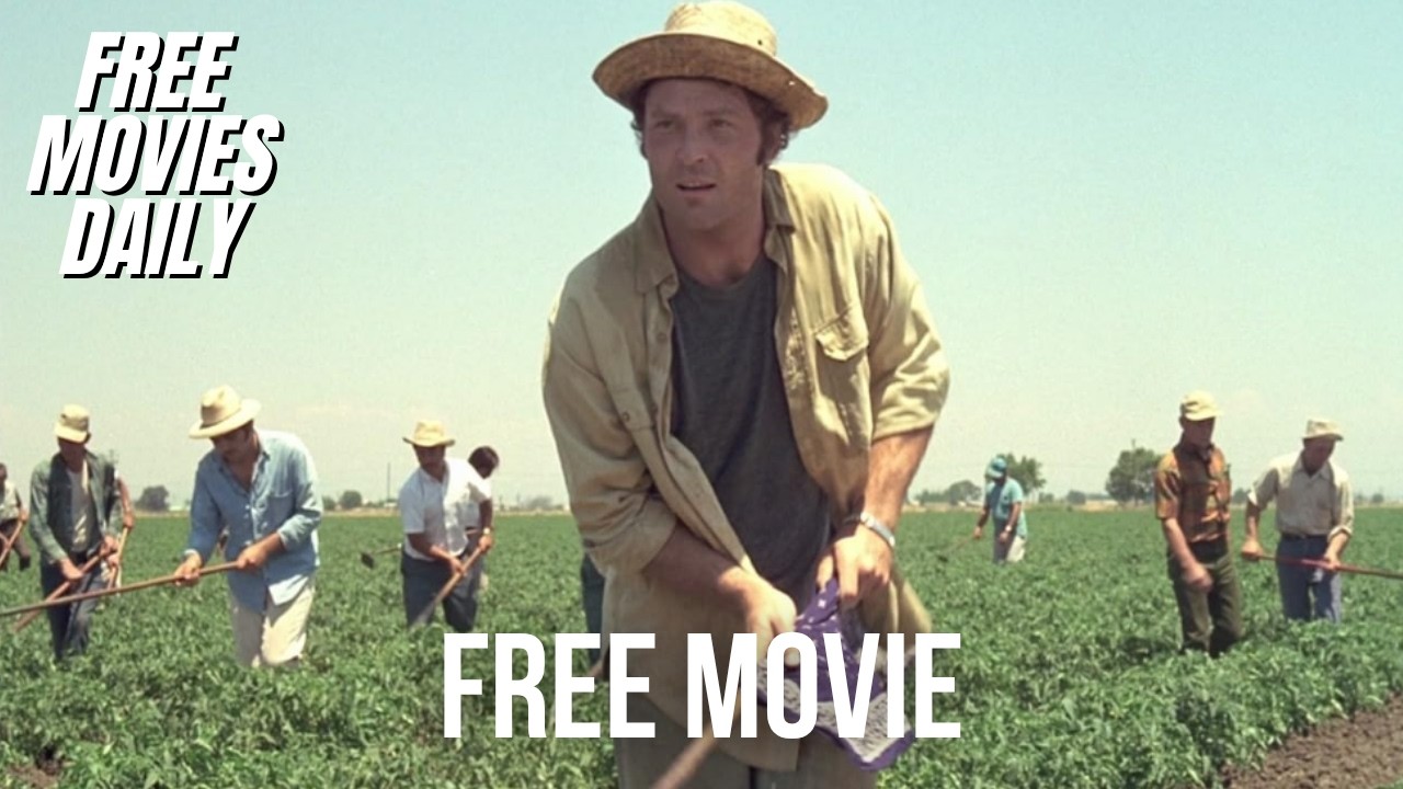 Fat City (1972) | Free Movie with Jeff Bridges π₯