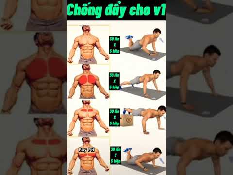 Bài tập Hít Đất Tăng Cơ Ngực Hiệu Quả Tại Nhà - Tập Gym Mỗi Ngày