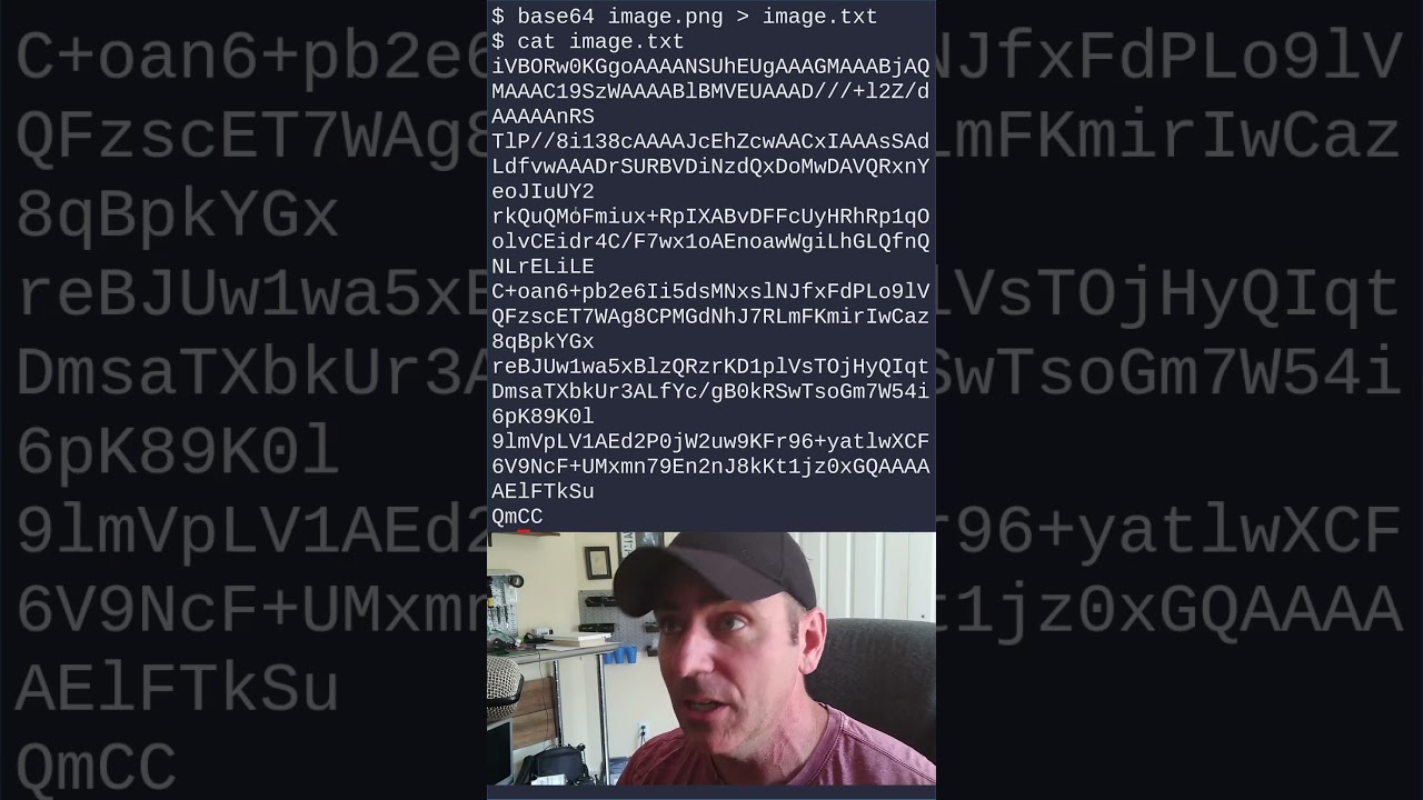 Base64 Decoding & Data Hiding Techniques 🔐