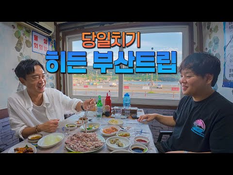 ๊ฒฝ์๋ ๋์ค์ ์จ๊ฒจ์ง ๋ถ์ฐ ๋ง์ง์ ์ฐพ์์