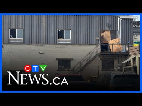 More than a dozen arrests following Montreal restaurant extortion attempts