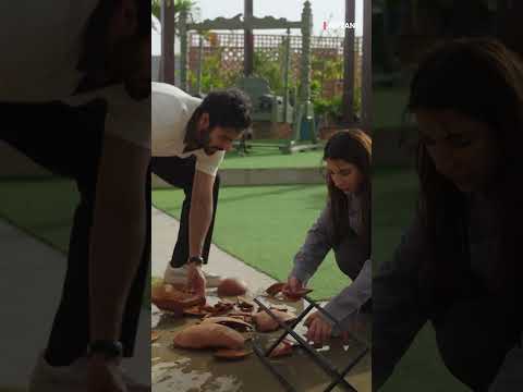 Biryani Episode 21 Out Now! 🎬 Watch the Latest Drama Episode