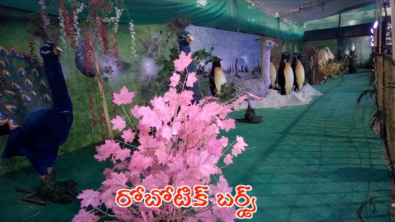 Robotic Birds, Eagle Peacock Ostrich | Wild birds, Flying Birds | #kingmakerpreetham