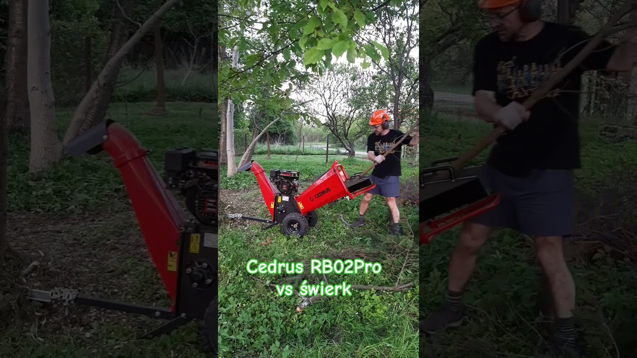 Cedrus RB02Pro vs Świerk: Efektywne Zrębkowanie Gałęzi 🔥