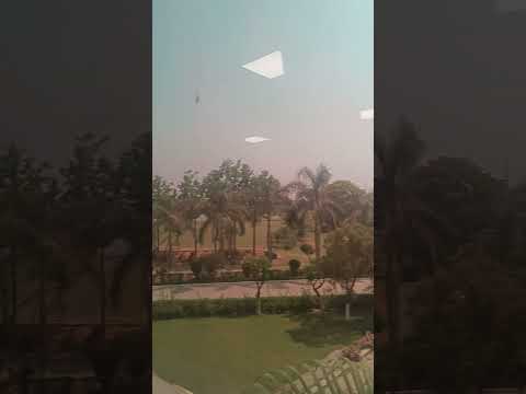 Teta sath h kitna pyaara #trending #internationalhits#ytshort #popularmusic