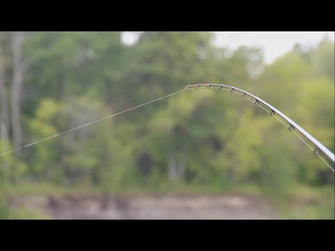 ЛЕЩ НА ФИДЕР!Поклёвки крупным планом!Рыбалка на фидер!