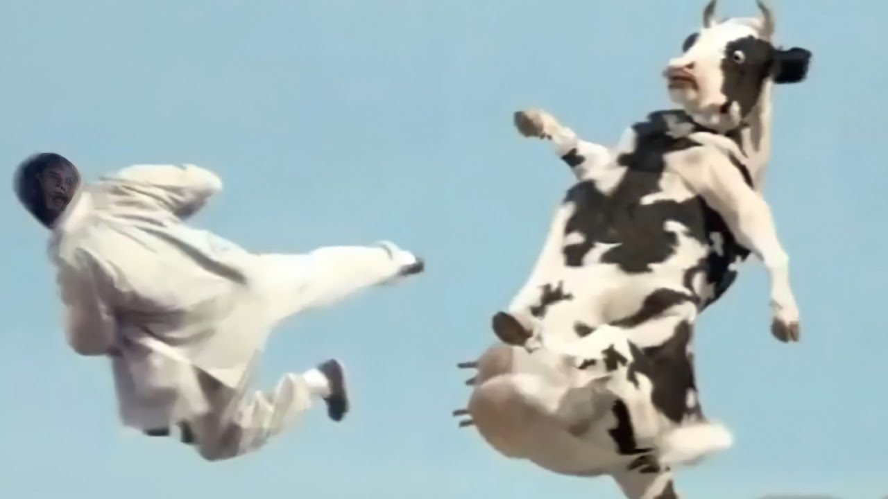 Yalili Remix: Funny Kungfu Cow Fight 🐄