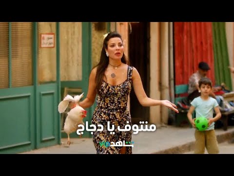 منتوف يا دجاج l صالون زهرة l شاهد VIP
