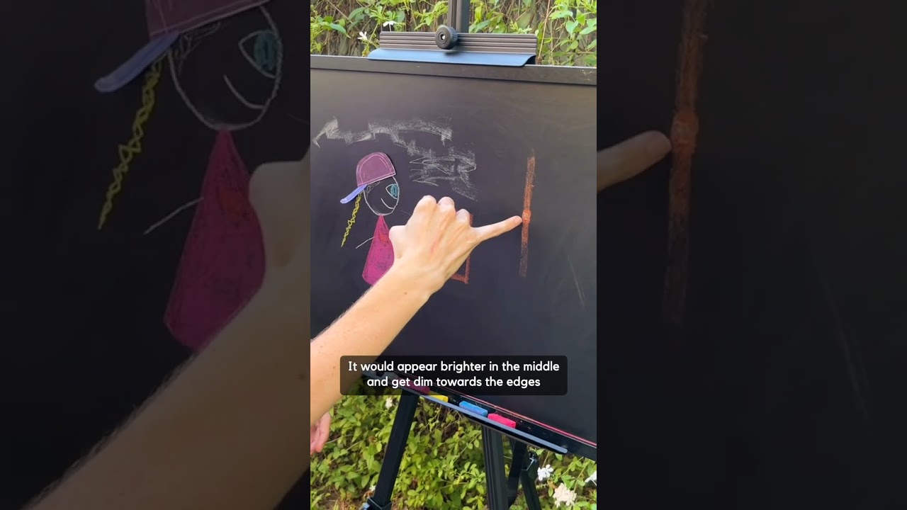 What a 2D Creature Sees