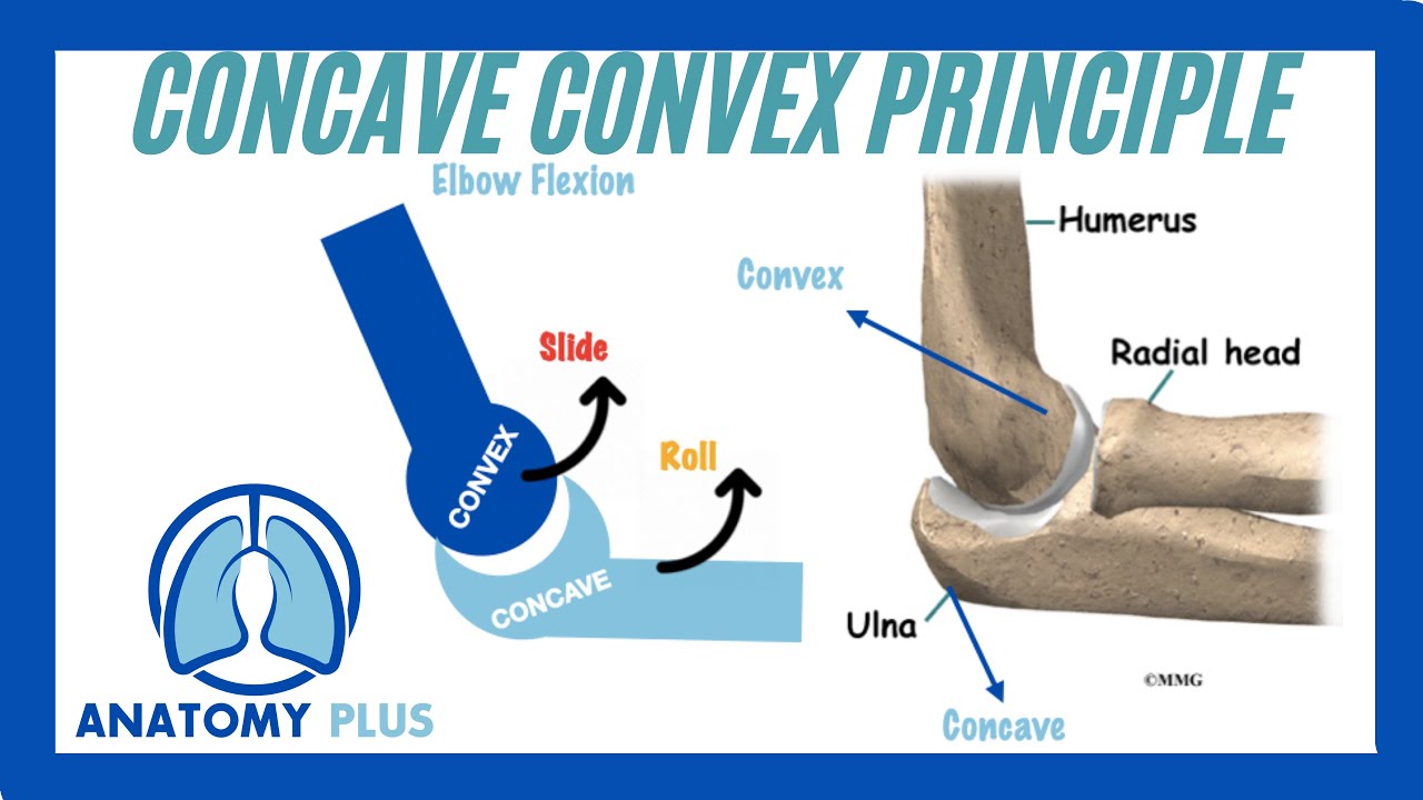 Understanding Arthrokinematic Movements π¦΄