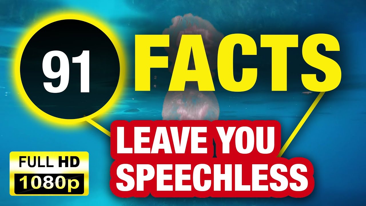 91 Amazing Facts You’ll Never Forget! 🌟