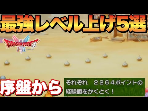 【ドラクエ2リメイク】序盤やり過ぎ注意！レベル上げスポット5選メタルスライム出現場所！
