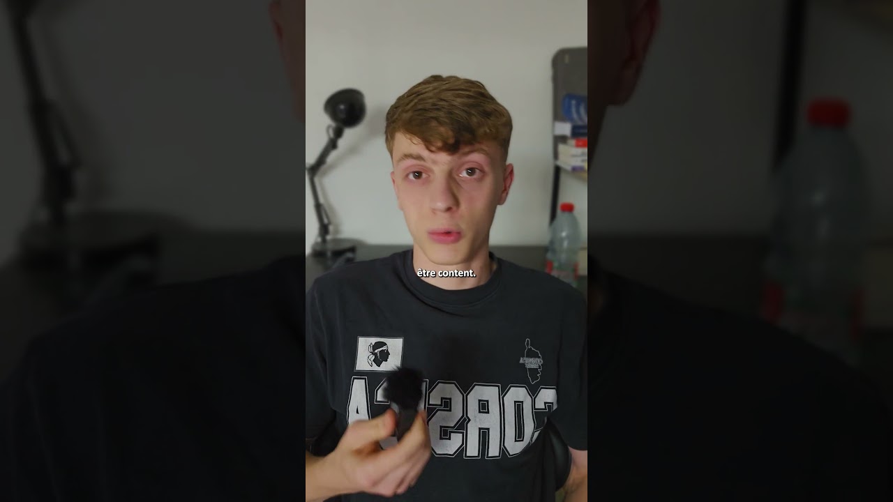 Les Éléphants : Découvrez Tout Ce Que Vous Devez Savoir 🐘