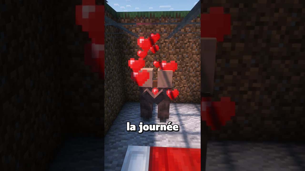 La vie d'un villageois dans Minecraft 🏡