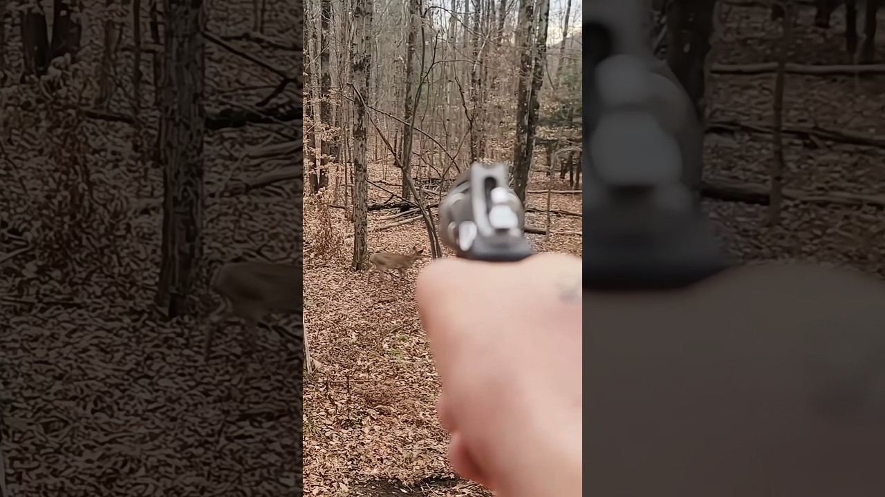 Stunning Deer Shot with Revolver 🎯