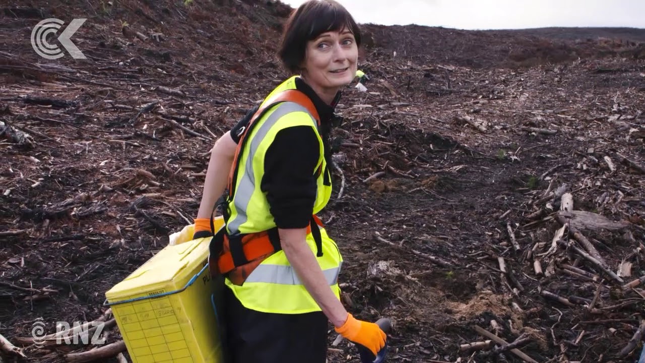 Is Tree Planting a Tough Job? Lisa Owen Explores π±