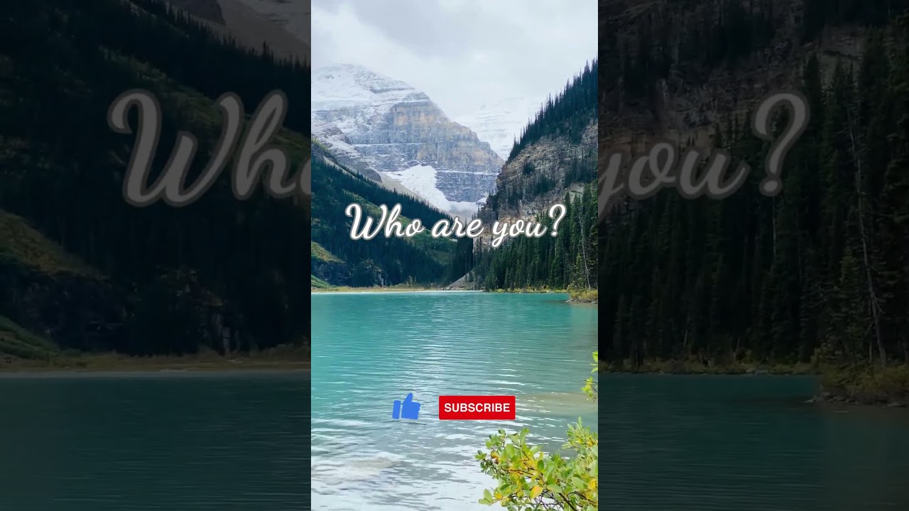 Ask Yourself These 3 Questions ✨