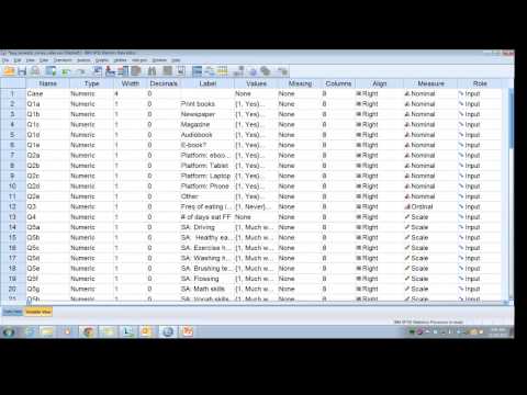 SPSS: Codebook