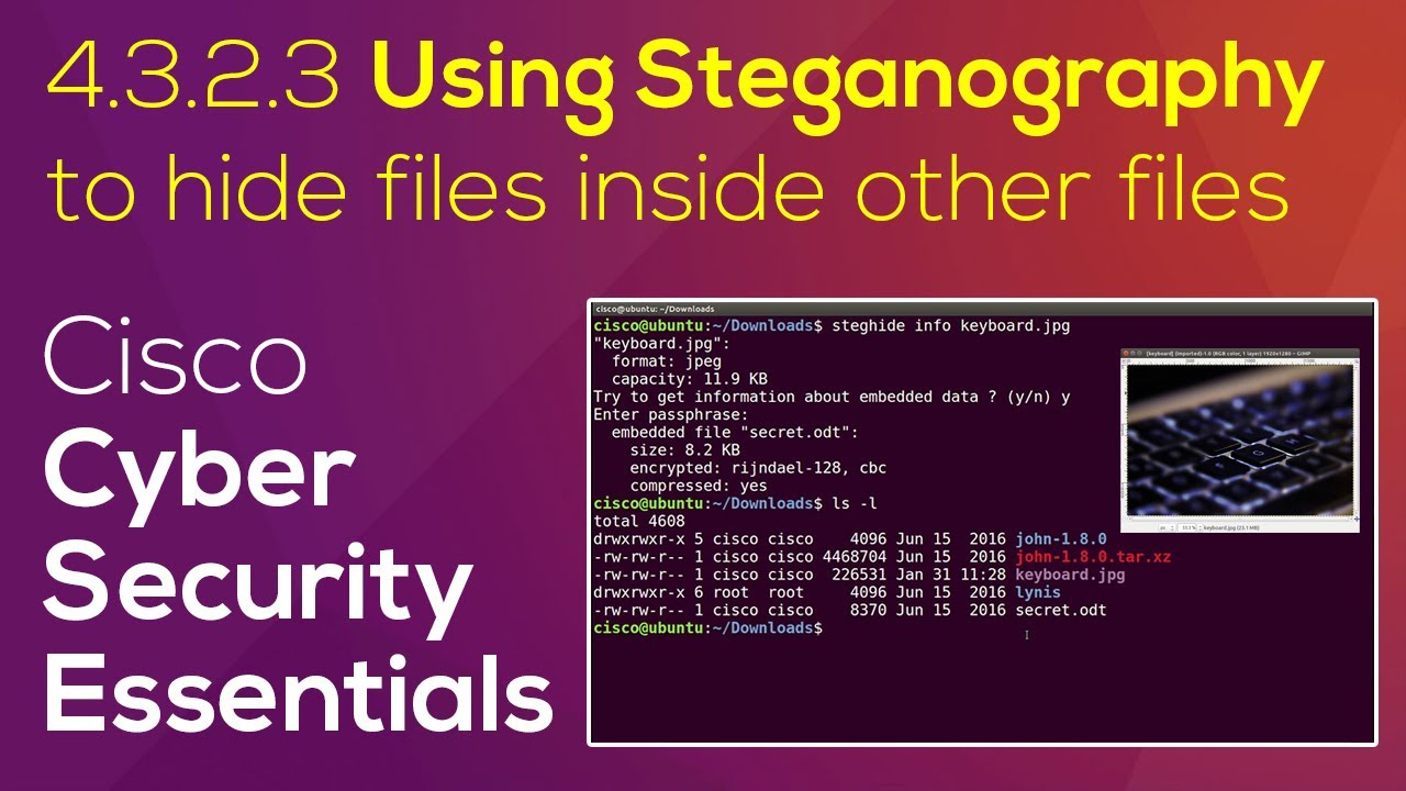Mastering Cisco Cybersecurity Essentials 4.3.2.3: Steganography Demo on Linux 🔐