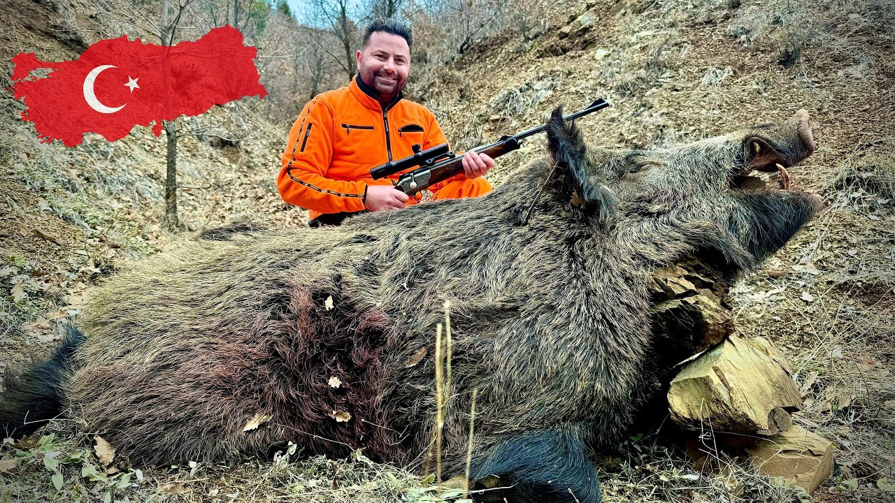 Aventure en Turquie avec des Sangliers 🦌