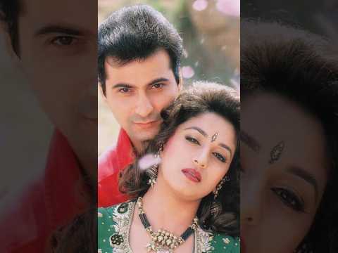Kisi Din Banoongi Main Raja Ki Rani | Raja(1995) | Madhuri Dixit & Sanjay Kapoor | Alka & Udit