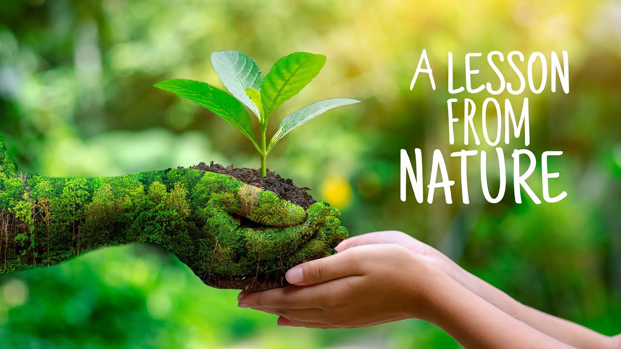 Nature's Lesson: A Bedtime Moral Story 🌱