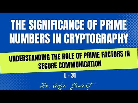 Prime Numbers | The Significance of Prime Numbers in Cryptography