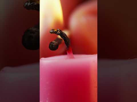 I LOVE THIS LENS !!! Sony 90mm Macro #shorts