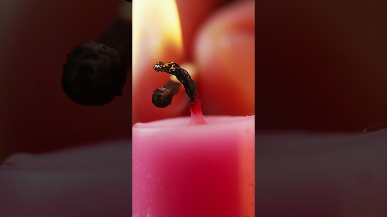 Love This Sony 90mm Macro Lens! 📸