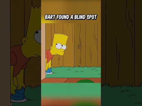 Bart found a blind spot