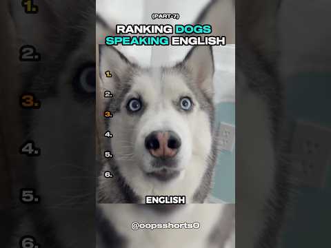 Ranking Dogs Speaking English - Part 7