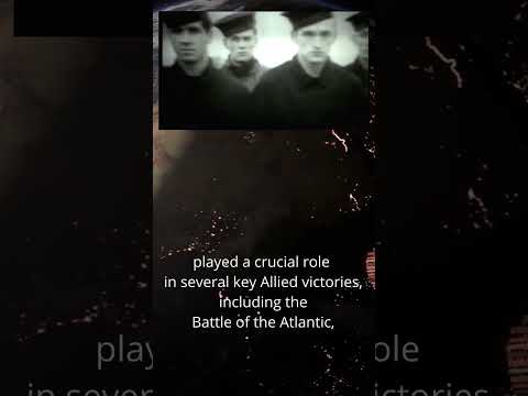 🌍FACTS ABOUT WW2 🌍#facts #ww2 #EnigmaMachine #AlanTuring #WWII #Codebreakers #HistoryRevealed