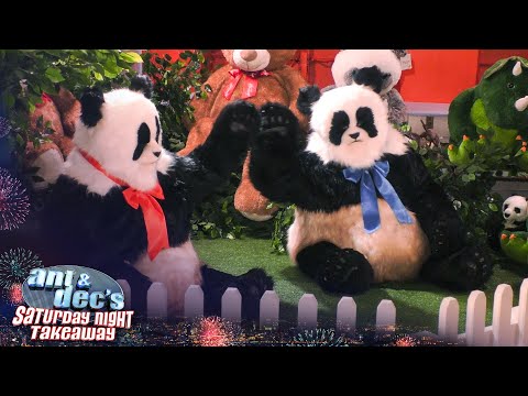 Ant & Dec Become Pandas Again! | Saturday Night Takeaway