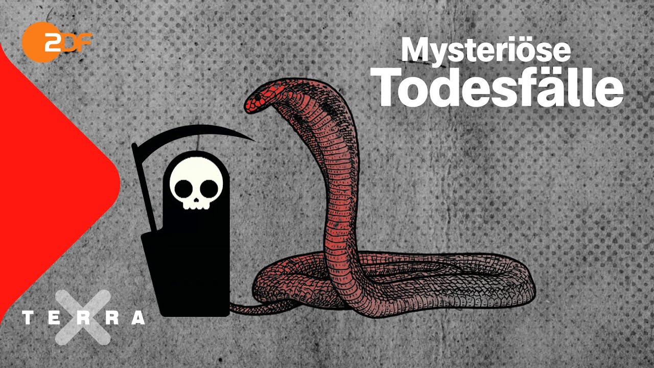 3 Drei mysteriöse Todesfälle in der Geschichte | Terra X