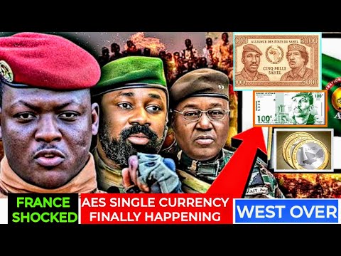 WEST PANICS: AES NEW CURRENCY CHANGES EVERYTHING