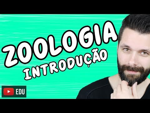 REINO ANIMALIA - INTRODUÇÃO À ZOOLOGIA - CONCEITOS | Aula - Biologia com Samuel Cunha