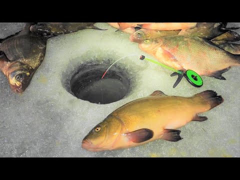 НЕ ждал ТАКОГО!! Зимняя рыбалка на леща и линя!