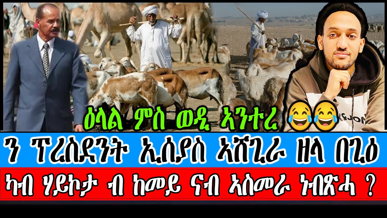 ኢሰያስ ኣሸጊራ ብ ደሓን እንተ ኣይተሓልዩ? 🤔