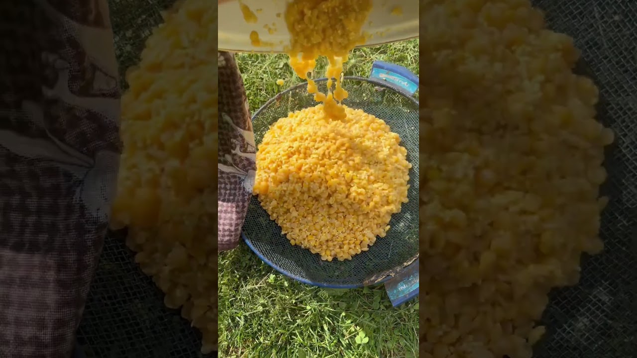 Фидерная рыбалка: как правильно варить горох для ловли леща 🎣