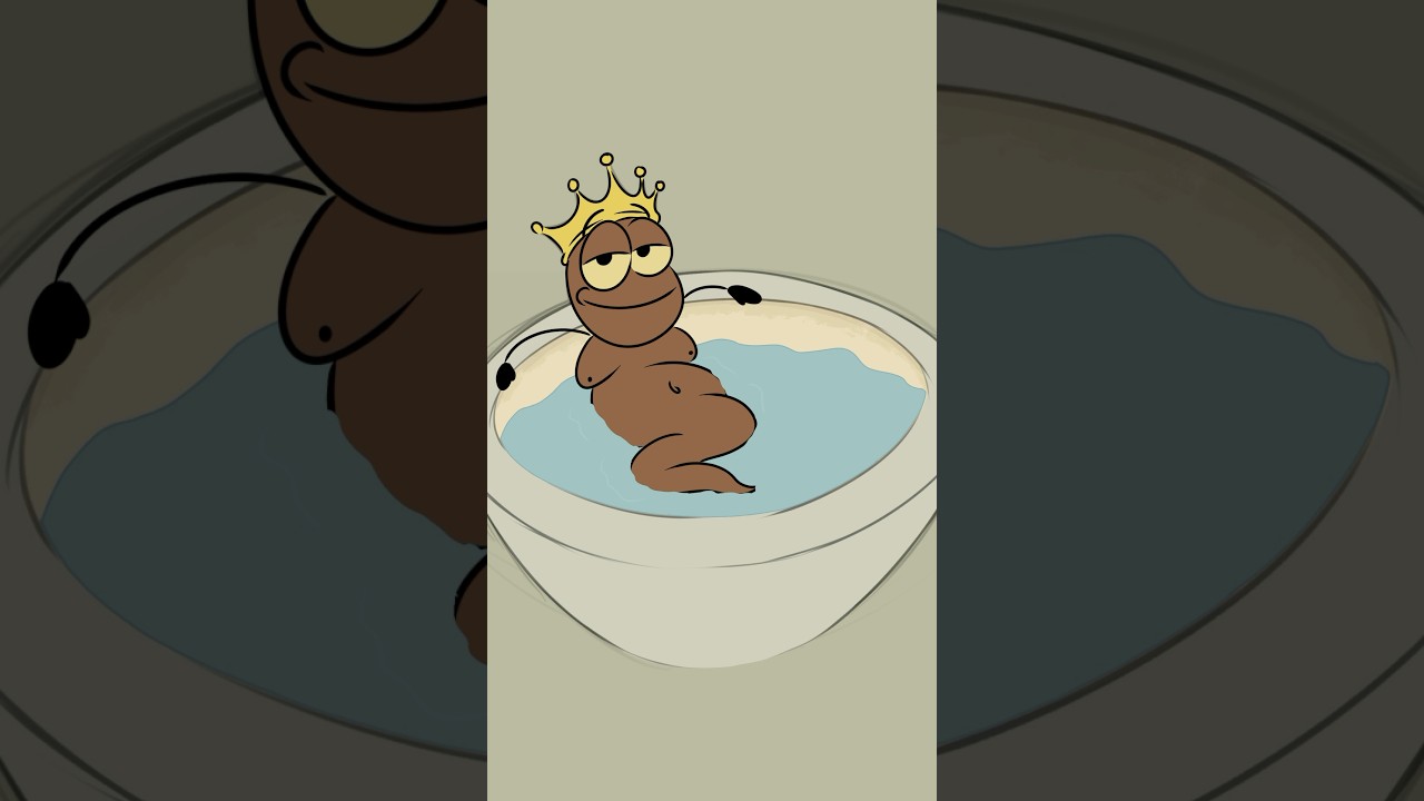 Caught Off Guard by Hilarious 4K Memes at a Friend’s Place! 😂