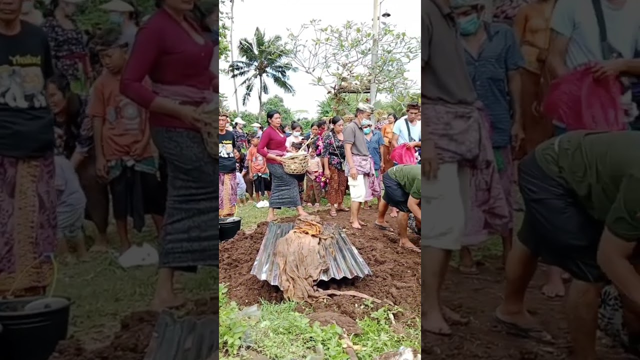 Unik! Gali Mayat Saat Upacara Ngaben di Bali 🪦