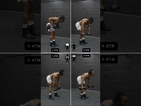 dumbbell only back day workout