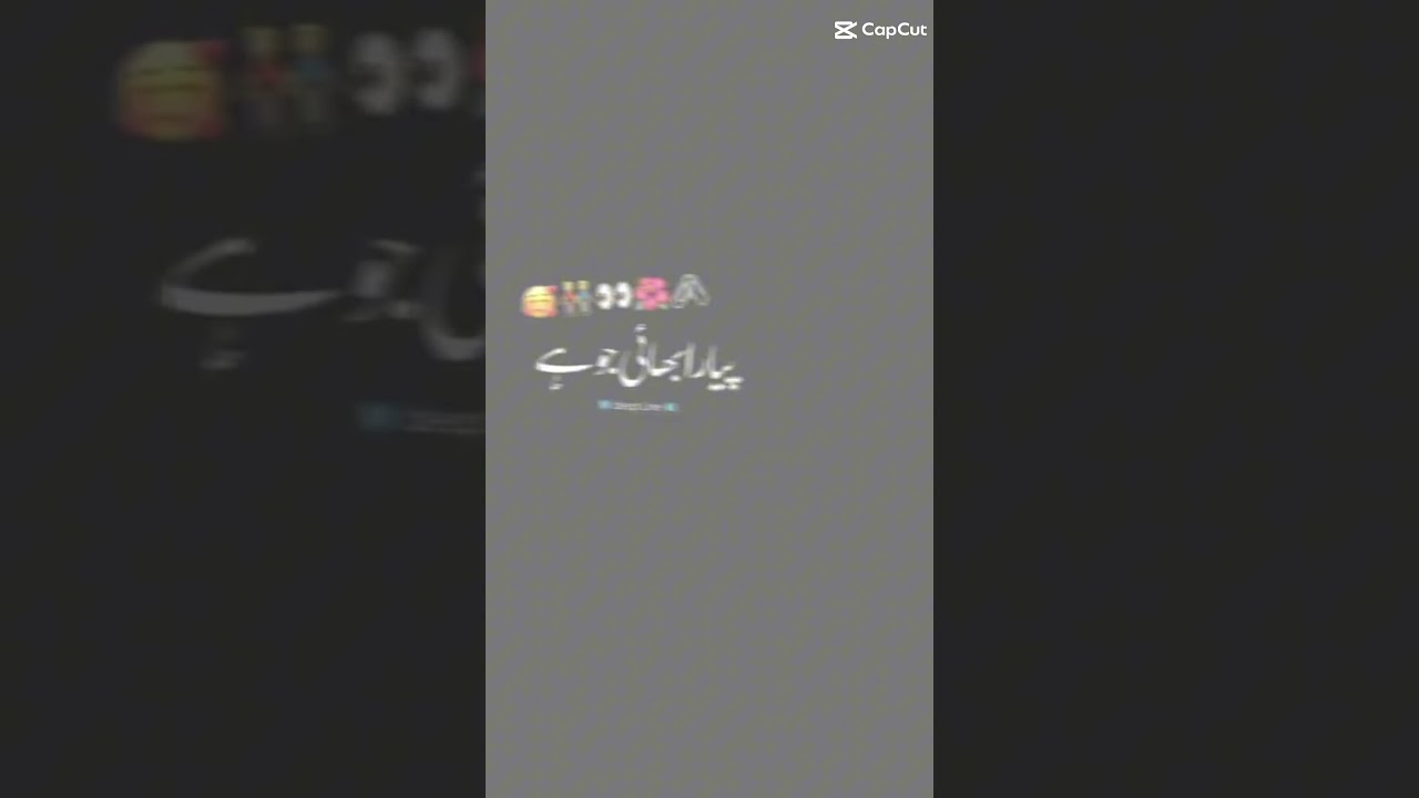 🫂🕺mera bhai shahzada🫣🌨🤸♂️👫