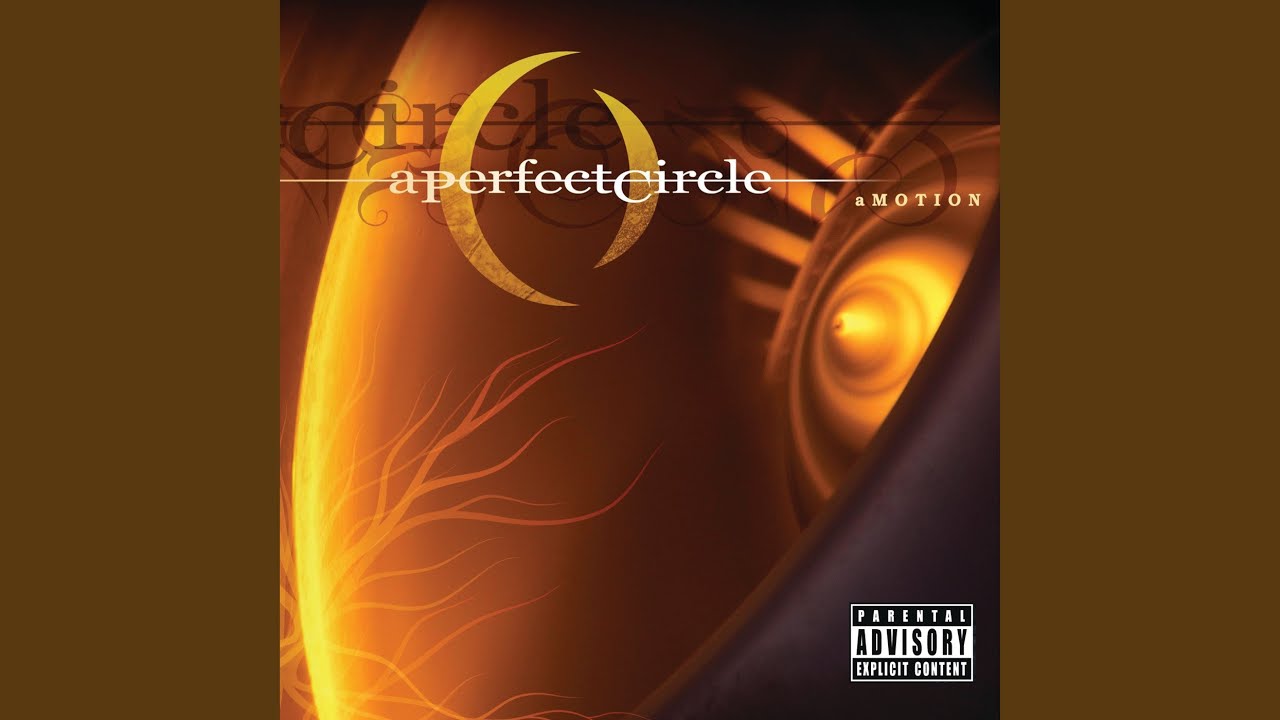 Outsider (Apocalypse Remix) by A Perfect Circle 🎶