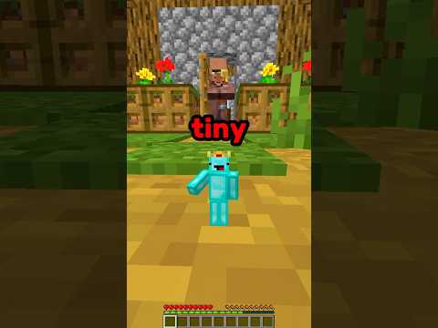 Fun Minecraft Commands?! ⛏💎