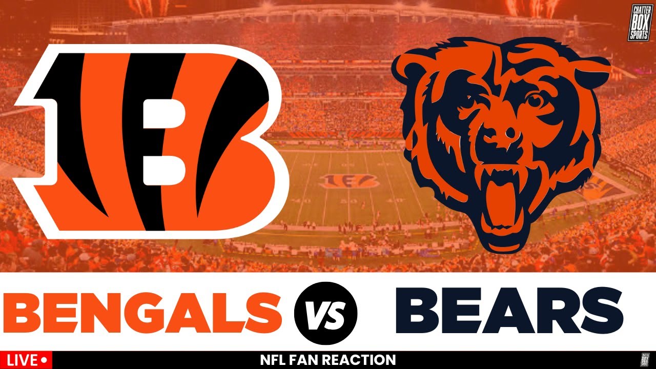 Watch Cincinnati Bengals vs Chicago Bears Live Stream & Highlights 🏈