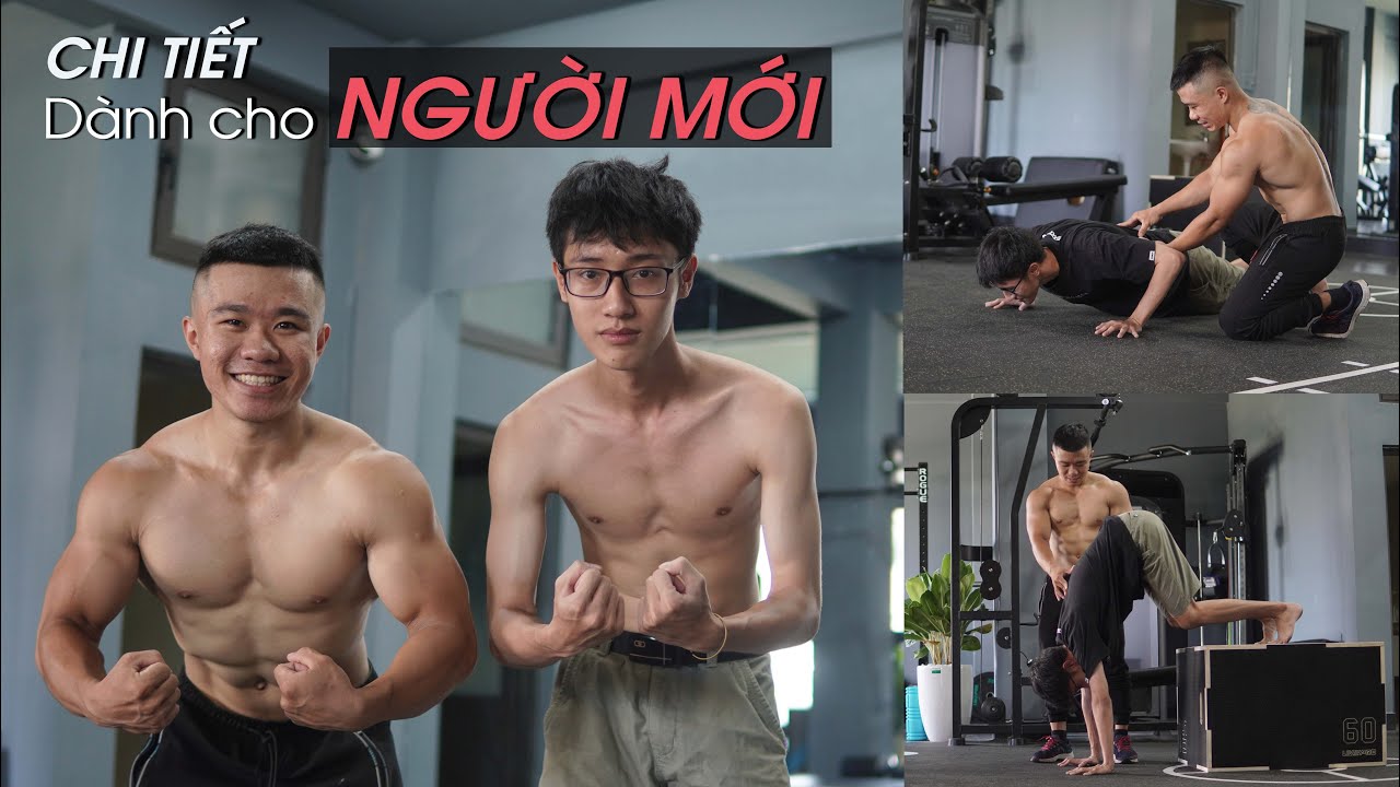 Hướng Dẫn Tập Ngực, Vai, Tay Sau Cho Người Mới Bắt Đầu | 30 Buổi Hiệu Quả 💪