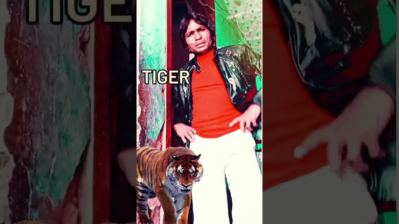 Khoon Pasina: Amitabh Bachchan's Classic 🎬