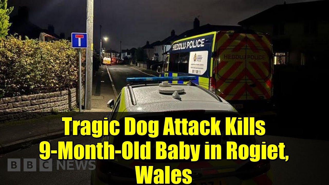 Heartbreaking Tragedy: 9-Month-Old Baby Dies in Dog Attack in Rogiet, Wales 🐶
