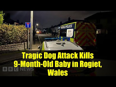 Tragic Dog Attack Kills 9-Month-Old Baby in Rogiet, Wales